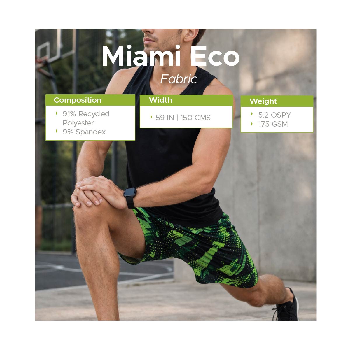 Miami Eco - Image 7