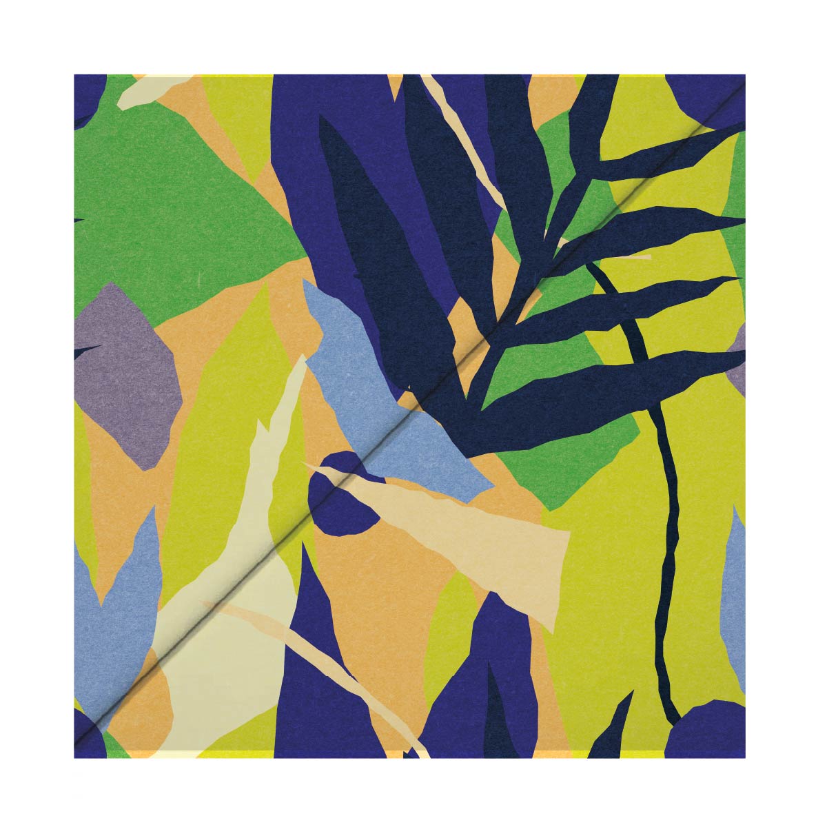 Lemon - Image 6