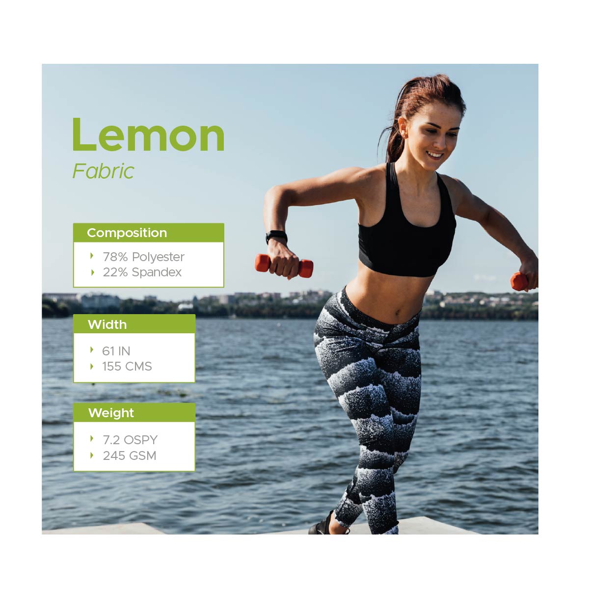Lemon - Image 7